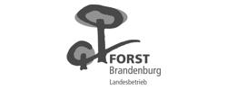 Forst Brandenburg