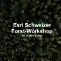 Wir sind auf dem Esri Schweizer Forst Workshop am 28.09 in Zürich Vorschaubild