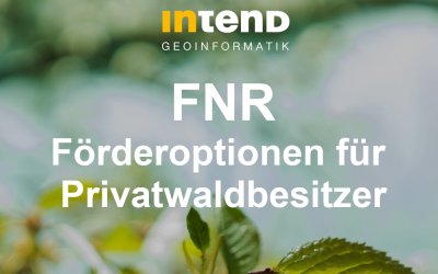 FNR - Förderoptionen für Privatwaldbesitzer